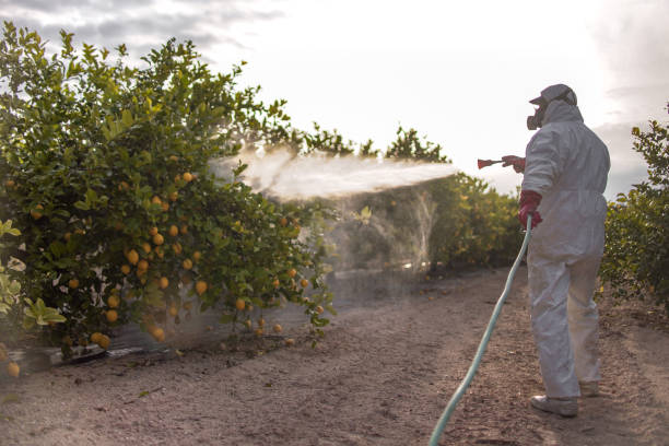 Best Commercial Pest Control Services  in Beech Island, SC